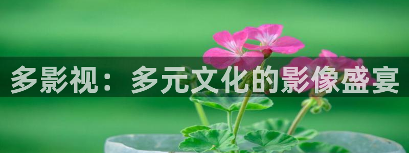 青柠影音在线：多影视：多元文化的影像盛宴