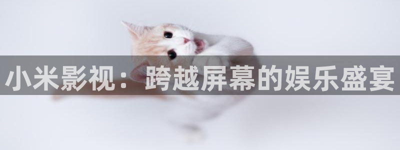 青柠影视网：小米影视：跨越屏幕的娱乐盛宴