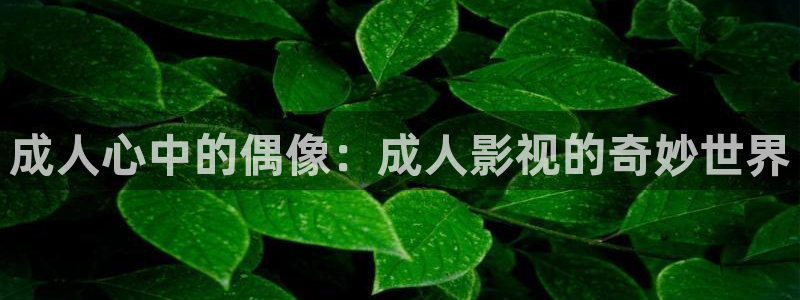 青柠影院免费看电视剧：成人心中的偶像：成人影视的奇妙世界