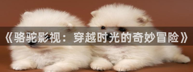 青柠影院免费观看电视剧高清免费：《骆驼影视：穿越时光的奇妙冒险》