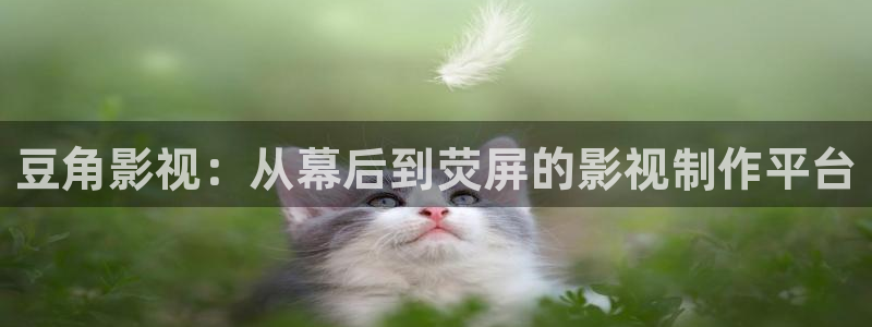 ok电影院青柠