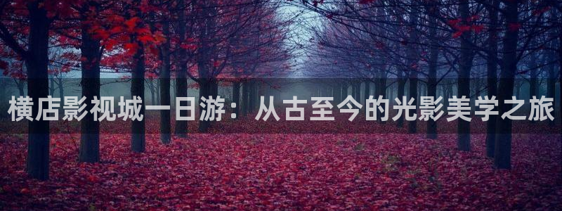 青柠影院免费观看电视剧高清动漫：横店影视城一日游：从古至今的光影美学之旅